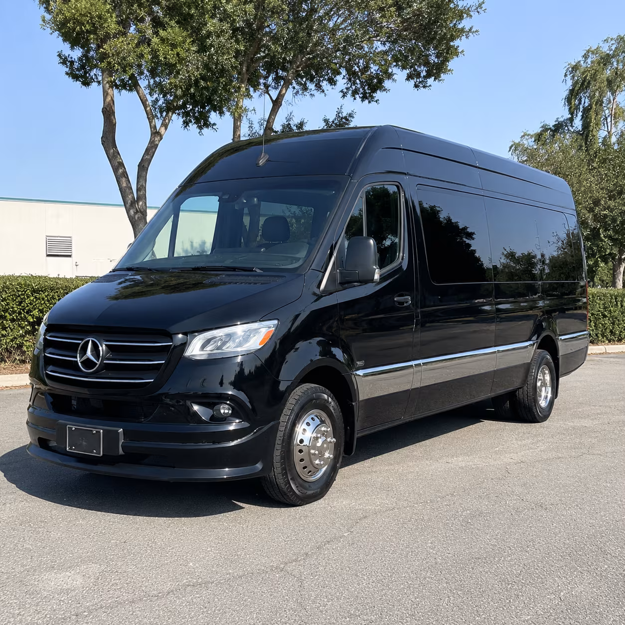 napa sprinter van with driver